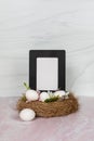 Blank empty no words white sign in black frame sitting in bird nest with eggs Royalty Free Stock Photo