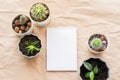 Blank empty notebook sheet and various green plants succulents cacti in pots on a background of craft paper with folds.