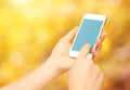 Blank empty phone device in hands of woman on nature in autumn