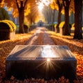 Blank empty tombstone in graveyard, message communication from burial