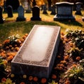 Blank empty tombstone in graveyard, message communication from burial