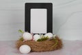 Blank empty white poster sign with no words in a black wood frame sitting in a bird nest with eggs