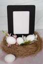 Blank empty white poster sign with no words in a black wood frame sitting in a bird nest with eggs