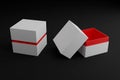 Blank Empty White Red Jewelry or Watch Box For Mockup - 3D Illustration