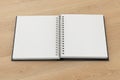 Blank facing pages of notebook on a spring with leather cover Royalty Free Stock Photo