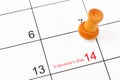 The Blank 14 February Valentine`s Day Calendar with wooden push pin