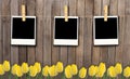 Blank fhoto frames on clothesline on wooden fence and flowers.