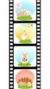 Blank film colorful strip with sheep