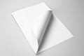Blank folded sheet of paper with curled corner: Royalty Free Stock Photo