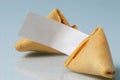 Blank Fortune Cookie