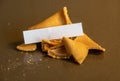 Blank Fortune Sits On Broken Fortune Cookie Royalty Free Stock Photo