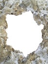 Blank frame with irregular seashell texture borders