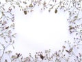 blank frame wild natural flowers. Round Spring Flower Frame. Flower frame isolated. copyspace, wildflower bouquet