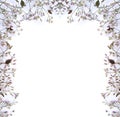 blank frame wild natural flowers. Round Spring Flower Frame. Flower frame isolated. copyspace, bouquet wildflowers top
