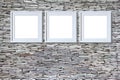 Blank frames on stone wall Royalty Free Stock Photo