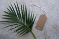 Blank gift tag with and punched heart and a palm fronds on a stone slab