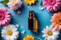 blank glass essence oil bottle with chamomile flowers on blue background. natural cosmetics Royalty Free Stock Photo