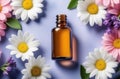 blank glass essence oil bottle with chamomile flowers, flatlay composition. natural cosmetics Royalty Free Stock Photo