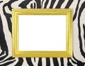 Blank golden frame with zebra texture Royalty Free Stock Photo