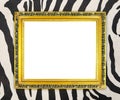 Blank golden frame with zebra texture Royalty Free Stock Photo