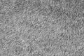 Blank gray plush sherpa material background