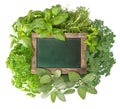 Blank green blackboard with variety fresh herbs