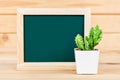 Blank green chalkboard with cactus plant.