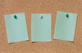 Blank green note pinned on cork board Royalty Free Stock Photo