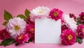 Blank greeting card, card ready to write, pink and white flowers on a pink background,