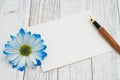 Blank greeting card with a flower and calligraphy pen Royalty Free Stock Photo