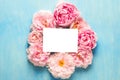 Blank greeting card in frame made of pink peony flowers on blue background. Flower composition. Mock up. Top view Royalty Free Stock Photo