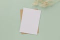 Blank greeting card invitation Mockup 5x7 on Brown envelope with dried flowers on pastel green background, flat lay, mockup Royalty Free Stock Photo