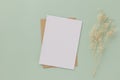 Blank greeting card invitation Mockup 5x7 on Brown envelope with dried flowers on pastel green background, flat lay, mockup Royalty Free Stock Photo