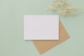 Blank greeting card invitation Mockup 5x7 on Brown envelope with dried flowers on pastel green background, flat lay, mockup Royalty Free Stock Photo