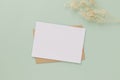 Blank greeting card invitation Mockup 5x7 on Brown envelope with dried flowers on pastel green background, flat lay, mockup Royalty Free Stock Photo