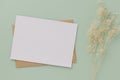 Blank greeting card invitation Mockup 5x7 on Brown envelope with dried flowers on pastel green background, flat lay, mockup Royalty Free Stock Photo