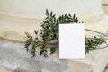 Blank greeting card mockup. Summer still life scene with green lentisk branch against old yellow shabby wall. Exotic