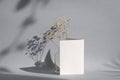 Blank greeting card next to dried Baby Breath flowers in a vase with shadow Royalty Free Stock Photo