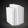 Blank hardcover books