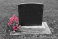 Blank headstone with pink flowers Royalty Free Stock Photo