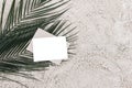 Blank horizontal card mock-up and craft envelope on green date palm leaves. Summer stationery still life scene. Sandy