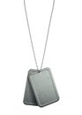 Blank Identity Dog Tags Hanging Royalty Free Stock Photo