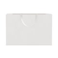 a blank image of a Landscape Paper Bag isolated on a white background