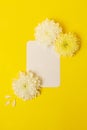 Blank isolated white card on the bold yellow background with beautiful chrysanthemums on the background.Mockup for design.Verical