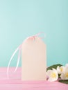 Blank label & delicate jasmine flowers on pastel pink and blue. Royalty Free Stock Photo