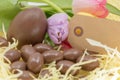 Blank label, pastel colored tulips and chocolate eggs for Easter and spring arrival