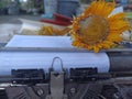 Blank line note paper on an old typewriter retro vintage with wilted sunflower. Royalty Free Stock Photo