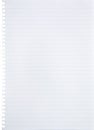 Blank lined white paper sheet torn out from notebook background with blue lines, margin and holes with copy space - isolated