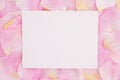 Blank love greeting card on pink rose flower petals