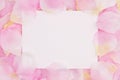 Blank love greeting card on pink rose flower petals Royalty Free Stock Photo